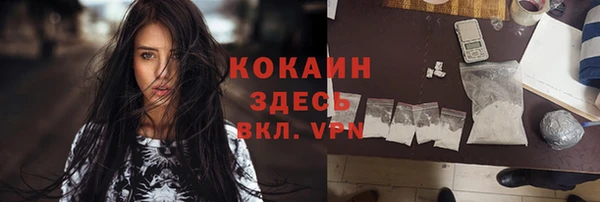ГАЛЛЮЦИНОГЕННЫЕ ГРИБЫ Нея