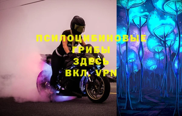 ГАЛЛЮЦИНОГЕННЫЕ ГРИБЫ Нея