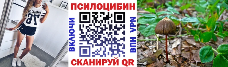 Галлюциногенные грибы ЛСД  Новосибирск 