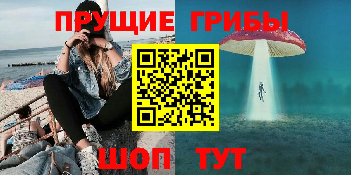 Новосибирск  Псилоцибиновые грибы Magic Shrooms  Вход с VPN 